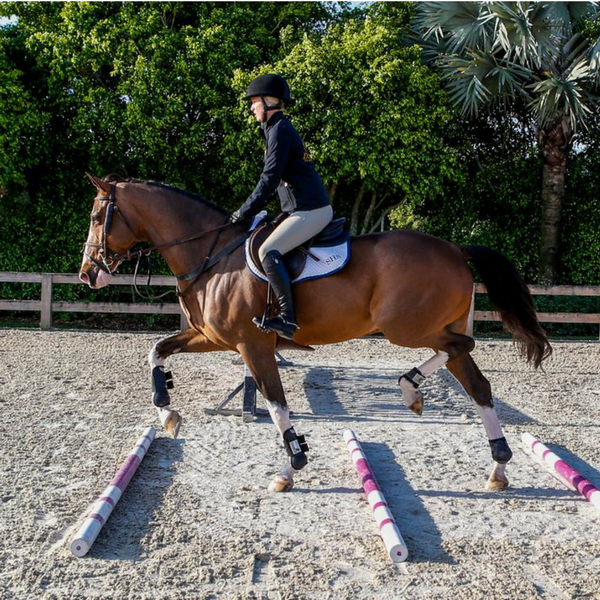 how-to-stop-a-horse-leaning-on-the-bit
