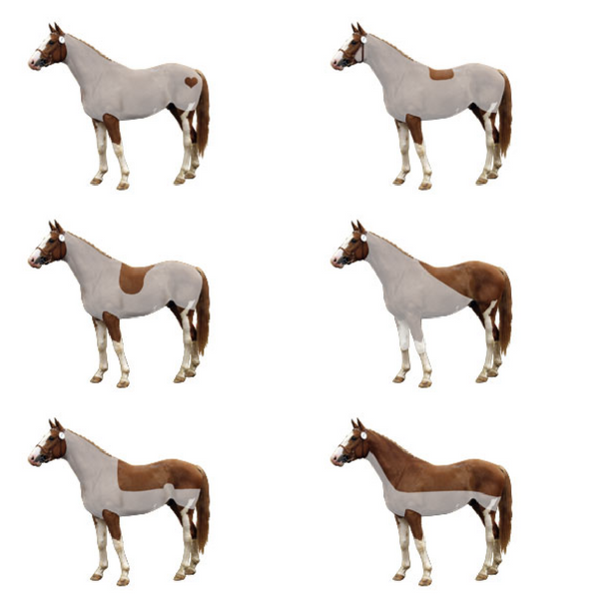 Guide - How to clip your horse