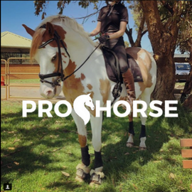 horse-supplies-direct
