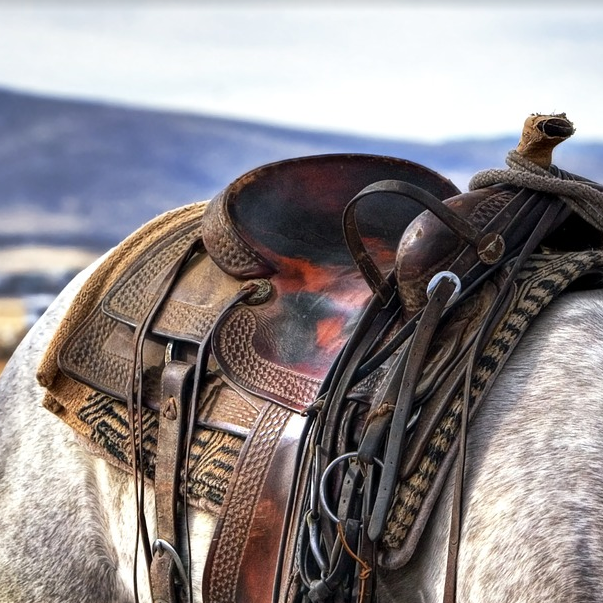 how-to-cinch-a-western-saddle